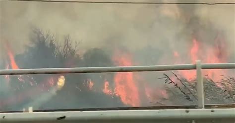 Vasto Incendio Area Boschiva Esa Chimento Canadair In Azione