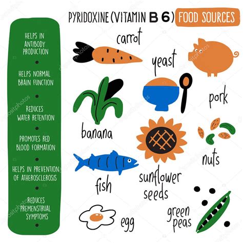 Vitamina B Fuentes De Alimentos Piridoxina Dibujos Animados