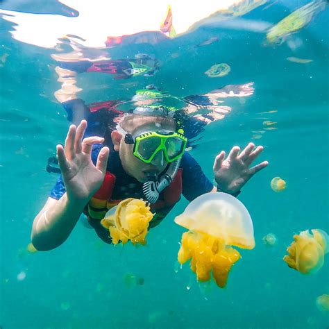 Tempat Wisata Yang Terkenal Di Kalimantan Timur Indonesiajuara