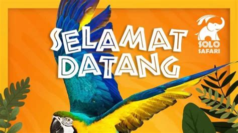 Solo Safari Dibuka Mulai Hari Ini Sebegini Harga Tiket Dan Cara