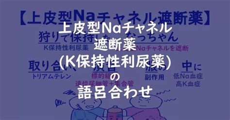 薬理学 ゴロ 上皮型naチャネル遮断薬 K保持性利尿薬 の語呂合わせ ゴリ薬