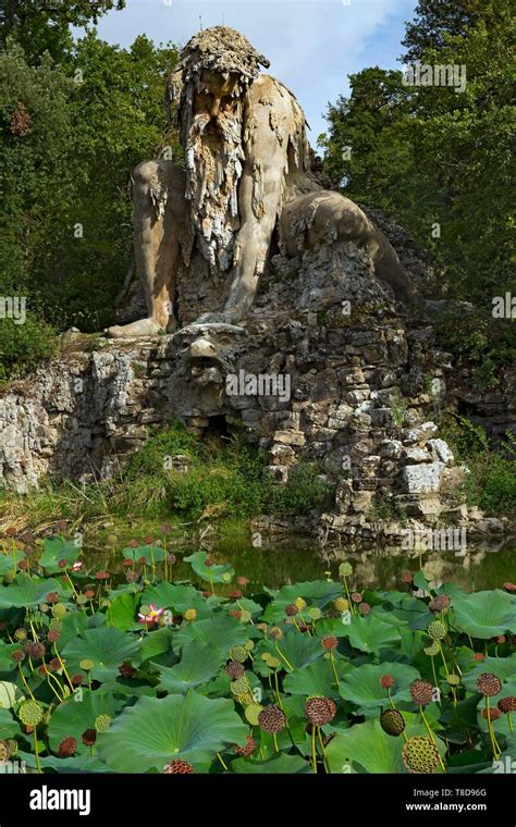 Italia Toscana Florencia Centro Hist Rico Catalogado Como Patrimonio