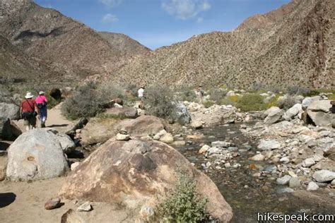 Borrego Palm Canyon Trail | Anza-Borrego Desert State Park | Hikespeak.com