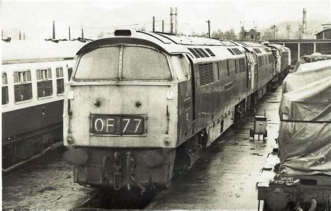 A Trio Of Class 52 Westerns At Laira Plymouth Class 52 We Flickr