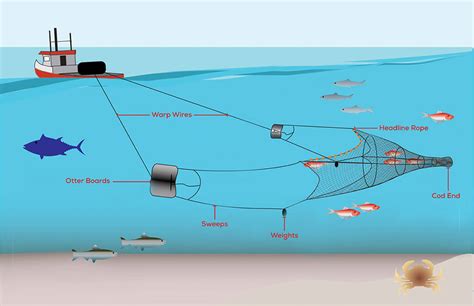 Issues Midwater Trawlers Cooperative