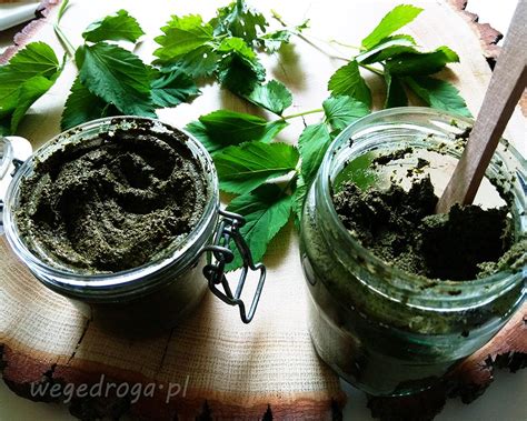 Podagrycznik Zielona Petarda Zdrowia Przepis Na Pesto Z