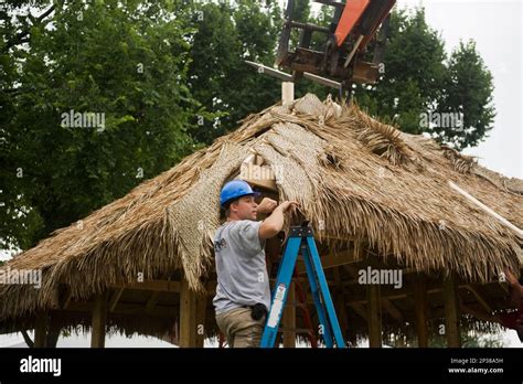 United States June 27 Jake Epp Helps Install A Bamboo Thatched Roof On A Structure That Will