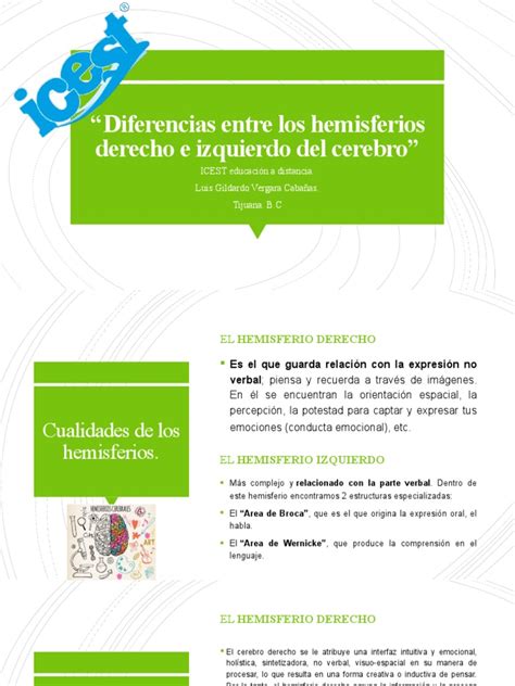 Diferencias Entre Los Hemisferios Derecho E Izquierdo Pdf