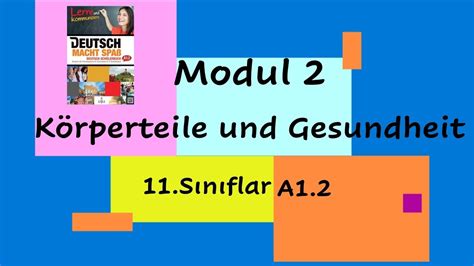 Körperteile Und Gesundheit 11sınıf A12 Youtube