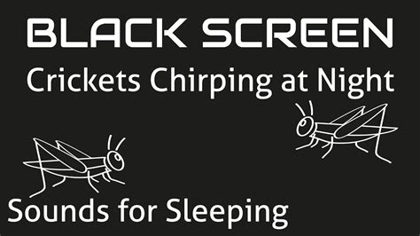 Crickets Chirping At Night Crickets Sounds Black Screen 10 Hour Nature Sounds For Sleep