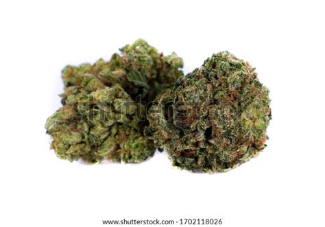 Gorilla Glue Cannabis Strain Weed Dispensary Stock Photo