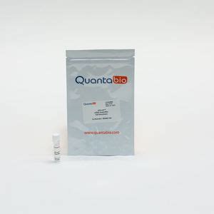 Qscript Xlt Step Toughmix Quantabio