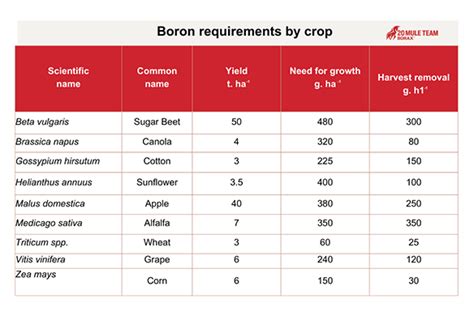 Boron In Crops An Overview Us Borax