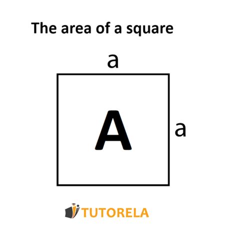 Area of the Square - Examples, Exercises and Solutions | Tutorela