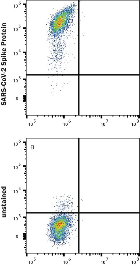 Recombinant Sars Cov Spike Rbd Alexa Fluor Protein Afg