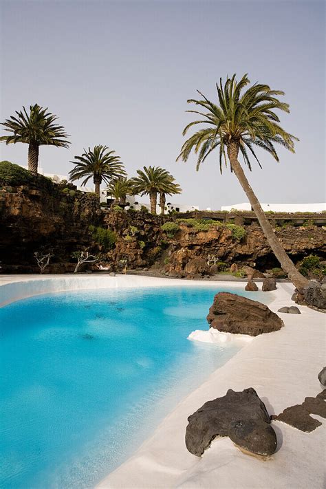 Swimming Pool With Palm Trees Near A License Image