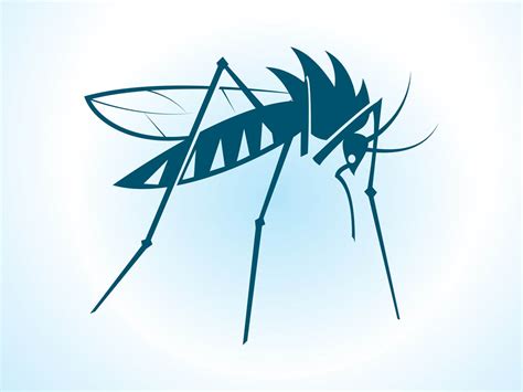 Vector Mosquito Vector Art & Graphics | freevector.com