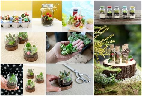 10 Adorable Mini Terrarium Ideas For You To Try