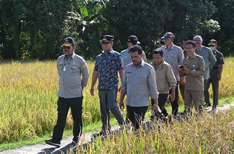 Mentan Dorong Petani Gunakan Teknologi Tepat Guna Untuk Tingkatkan