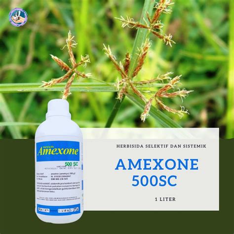 Jual Amexone 550Sc 1 Liter Herbisida Untuk Tanaman Tebu Shopee Indonesia