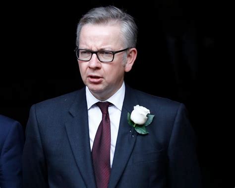 Eu Referendum Michael Gove Makes Nazi Jibe At Economic Experts Warning