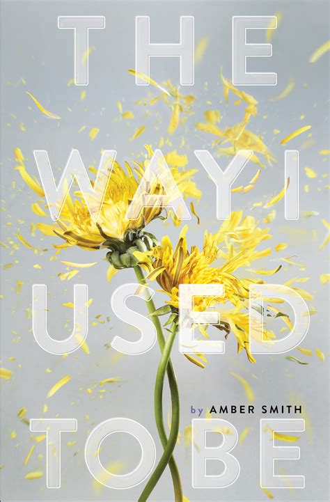 The Way I Used To Be Amber Smith Author