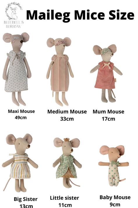 The Sizes Of Stuffed Mice Are Shown In This Poster Which Shows How To