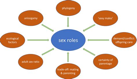 The Evolution Of Reversed Sex Roles And Classical Polyandry Insights