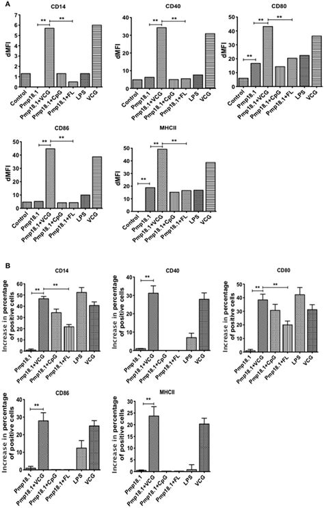 Bmdc Surface Activation Marker Expression Using Facs Analysis