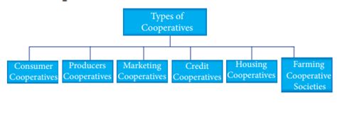 Types Of Cooperatives Cooperative Organisation Commerce