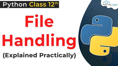 File Handling In Python Class 12 Python File Handling With Programs Python For Class 12 Cbse