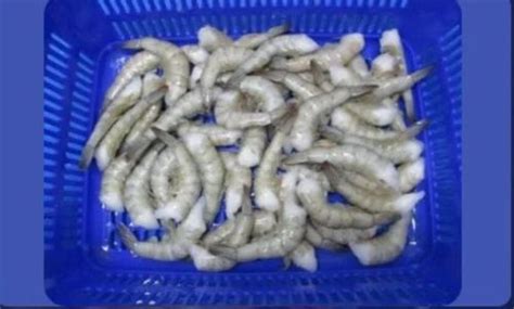 Frozen Prawns Hlso Vannamei Service Provider From Kolkata