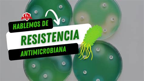 Introducción a la Resistencia Antimicrobiana Todo lo que tienes que