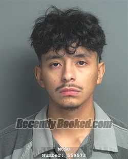 Recent Booking Mugshot For Samuel Rene Gonzalez In Montgomery County