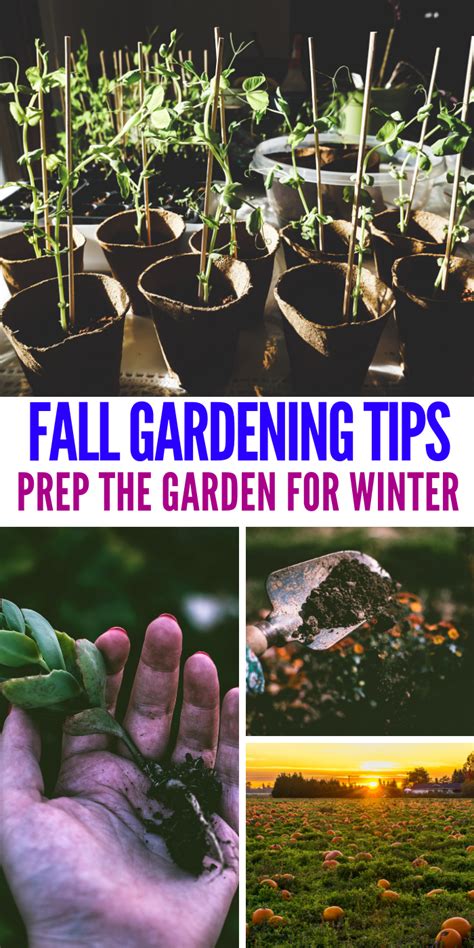 Fall Gardening Tips - How To Prepare for Winter