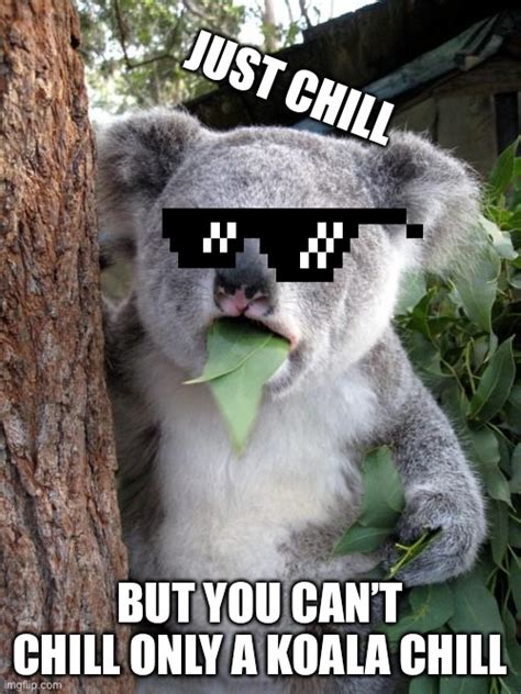 Surprised Koala Meme Imgflip