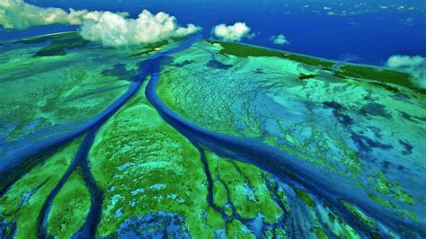 Aldabra Atoll: UNESCO World Heritage at its Best | Seal Superyachts