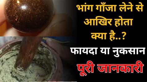 Science Facts Bhang Ganja Lene Ke Baad Kya Hota Hai Full Details