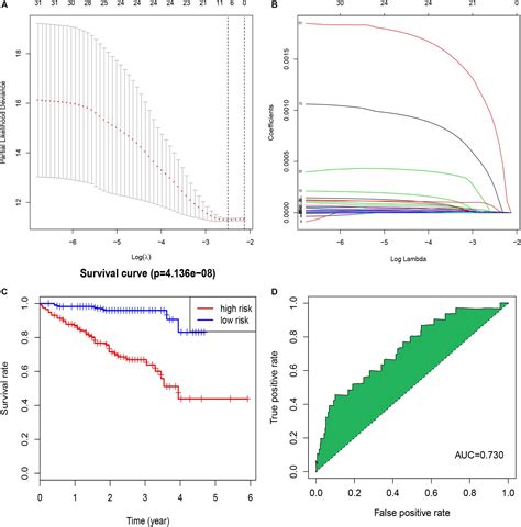 Frontiers A Potential Immune Related Long Non Coding Rna Prognostic