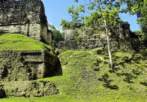 Guatemala Tikal Ruins - Free photo on Pixabay - Pixabay