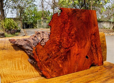 Rarered Amboyna Burl Lumber Live Edge Diy Epoxy Resin Natural Slab Wood