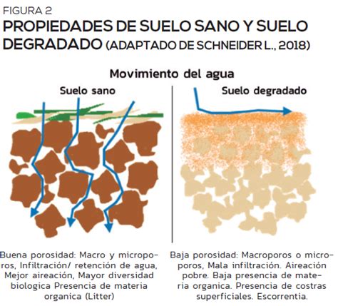 Mejorar La Calidad Del Suelo Una Estrategia De Adaptaci N Al Cambio