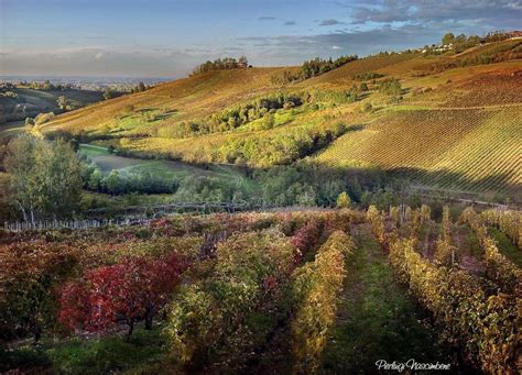 I Colori Dell Autunno Nei Vigneti Dell Oltrepo Pavese La Repubblica