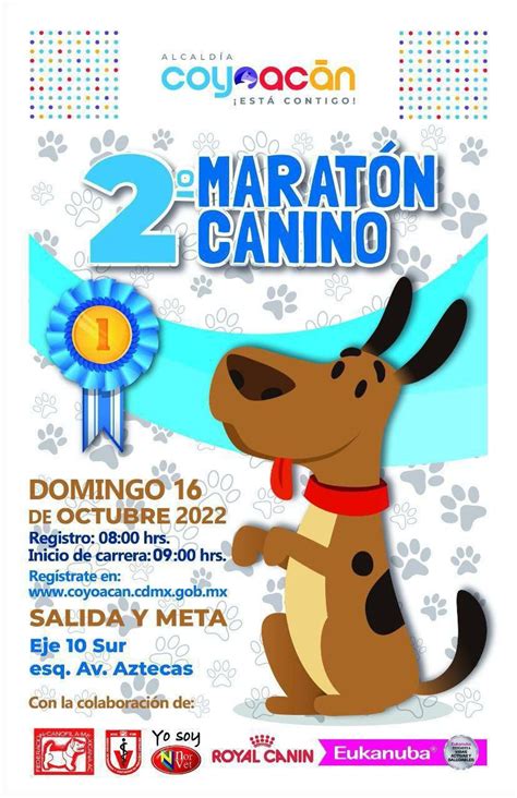 Alcald A De Coyoac N On Twitter Falta Muy Poco Para El Marat N Canino