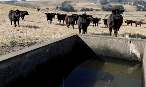 Drought and forage challenges continue in 2023 – Australian Country Life