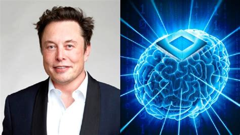 Dire Primo Chip Nel Cervello Di Un Essere Umano Lannuncio Di Elon