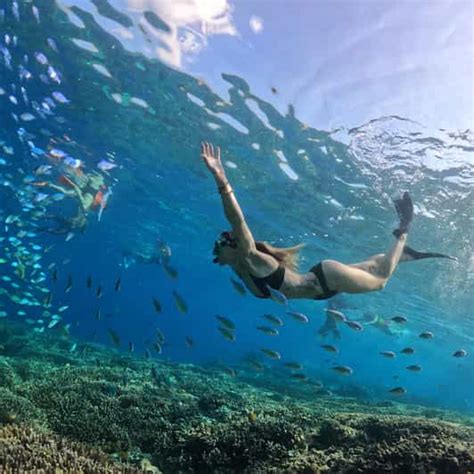 Gili Islands Lombok Shared Private Snorkeling Tours Getyourguide