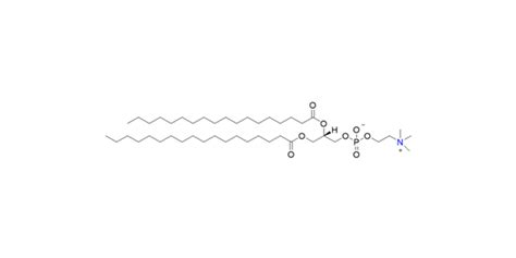 二硬脂酰基磷脂酰胆碱 厦门赛诺邦格生物科技股份有限公司