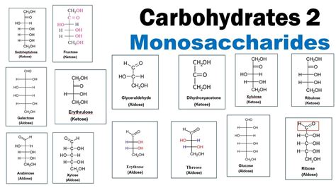 Aldose Vs Ketose