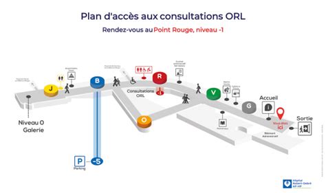 Consultation D ORL Et De Chirurgie Cervico Faciale